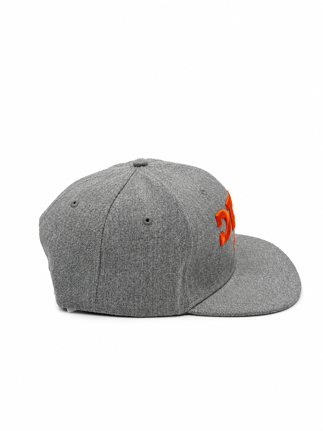 DTSN Europe Snapback Grey