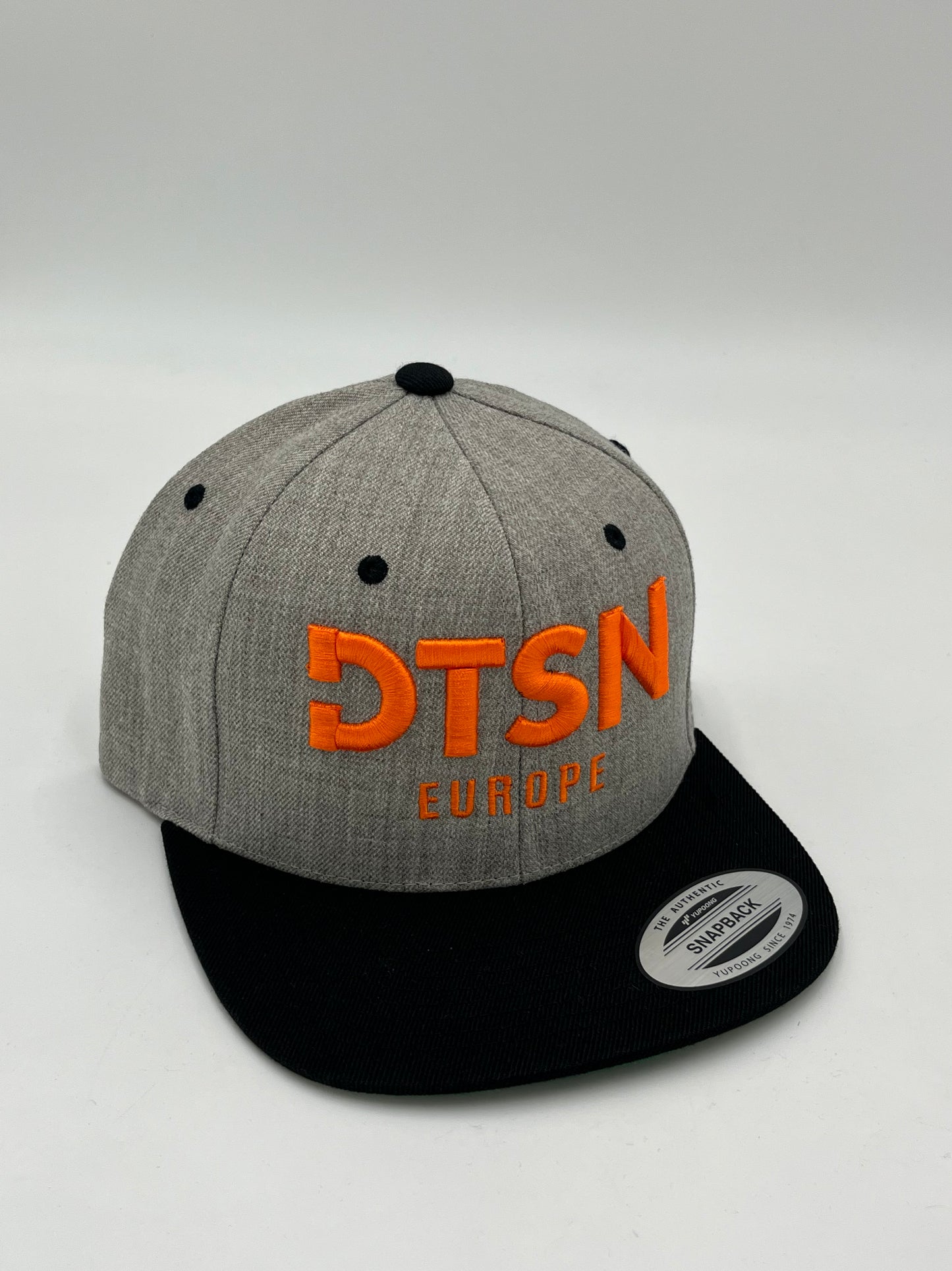 DTSN Europe Snapback Grey