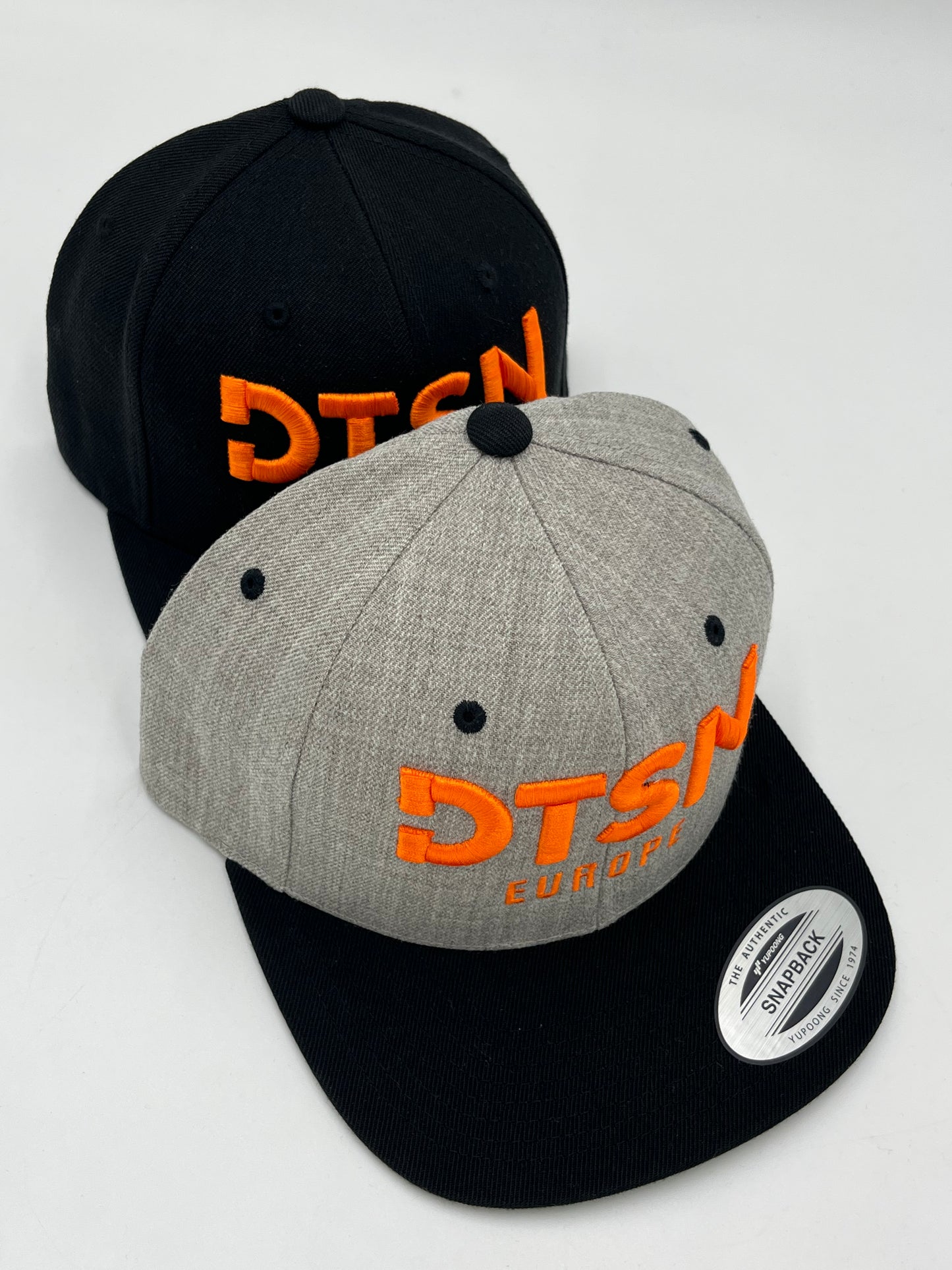 DTSN Europe Snapback Grey