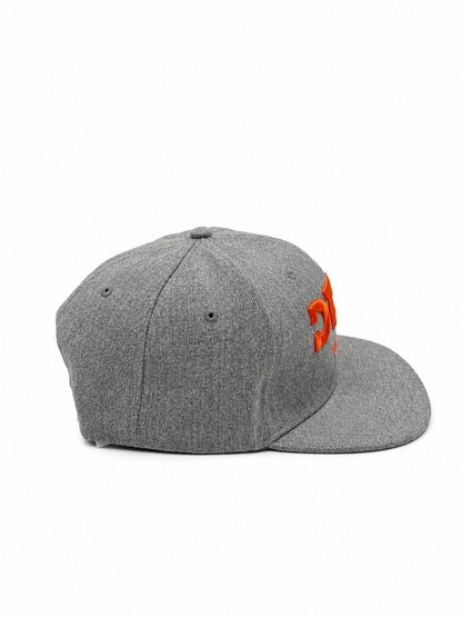 DTSN Europe Snapback Grey