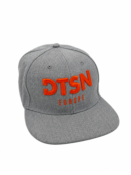 DTSN Europe Snapback Grey